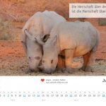 zukunft-afrika-ev-kalender-landschaften-tiere-2020-0007