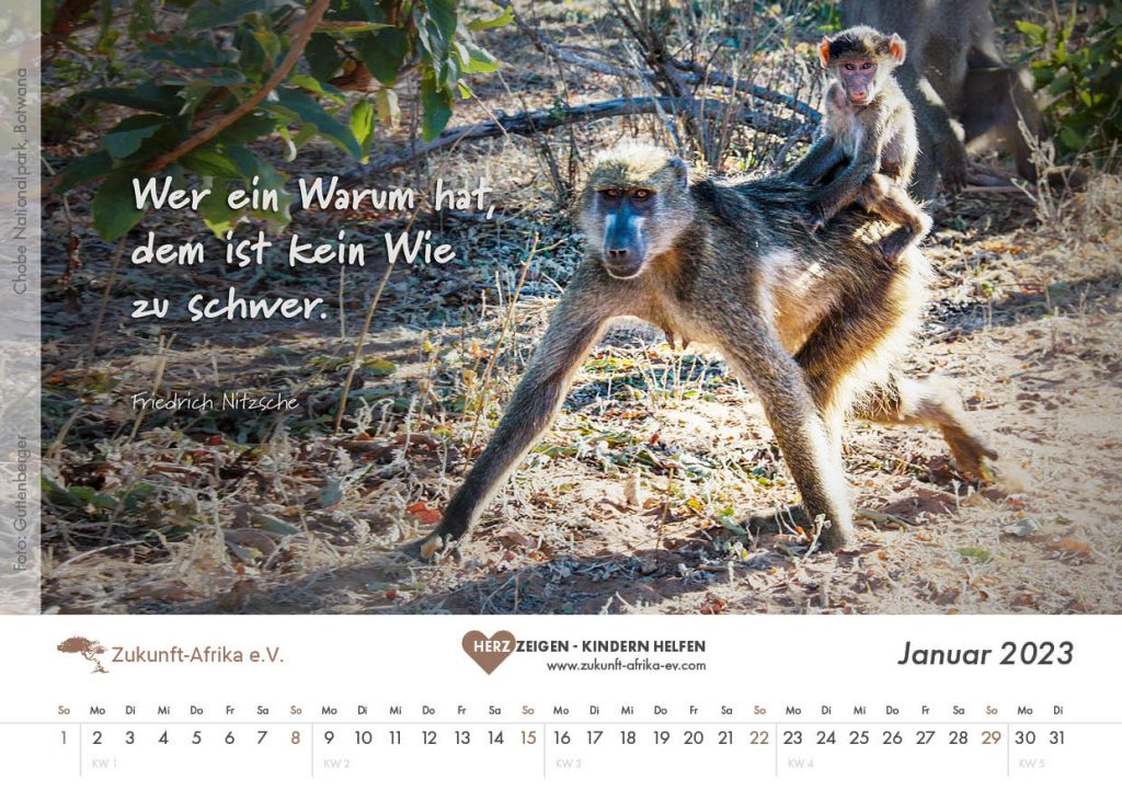 zukunft-afrika-ev-bezaubernde-tierfamilien-kalender-2023-0002-januar