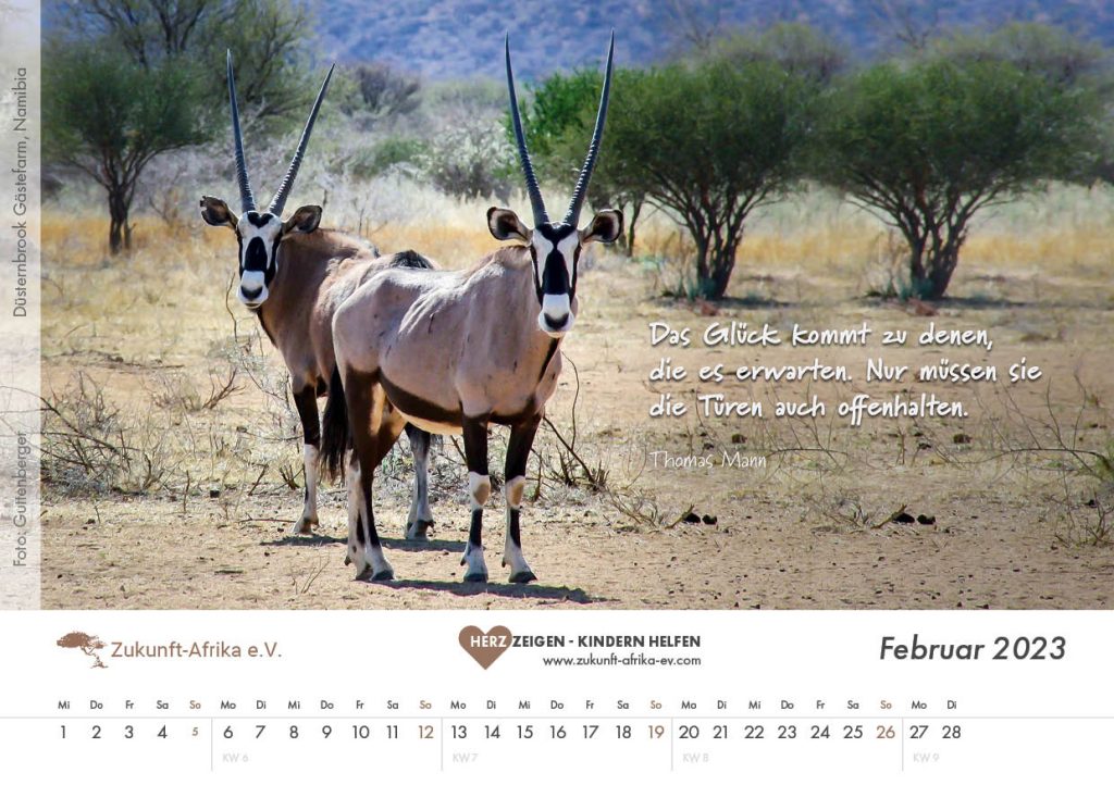 zukunft-afrika-ev-bezaubernde-tierfamilien-kalender-2023-0003-februar
