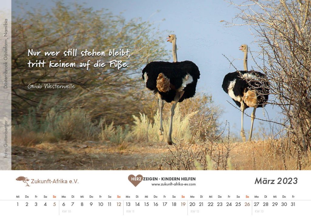 zukunft-afrika-ev-bezaubernde-tierfamilien-kalender-2023-0004-maerz