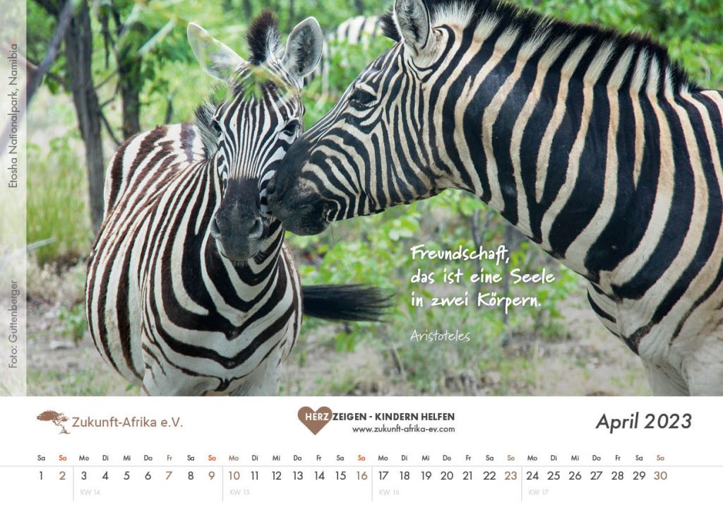 zukunft-afrika-ev-bezaubernde-tierfamilien-kalender-2023-0005-april