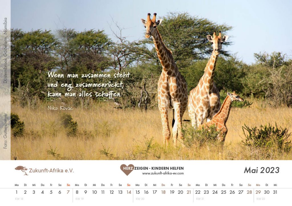 zukunft-afrika-ev-bezaubernde-tierfamilien-kalender-2023-0006-mai