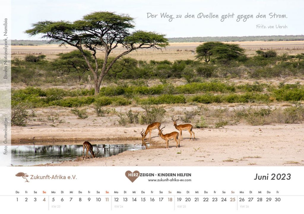 zukunft-afrika-ev-bezaubernde-tierfamilien-kalender-2023-0007-juni