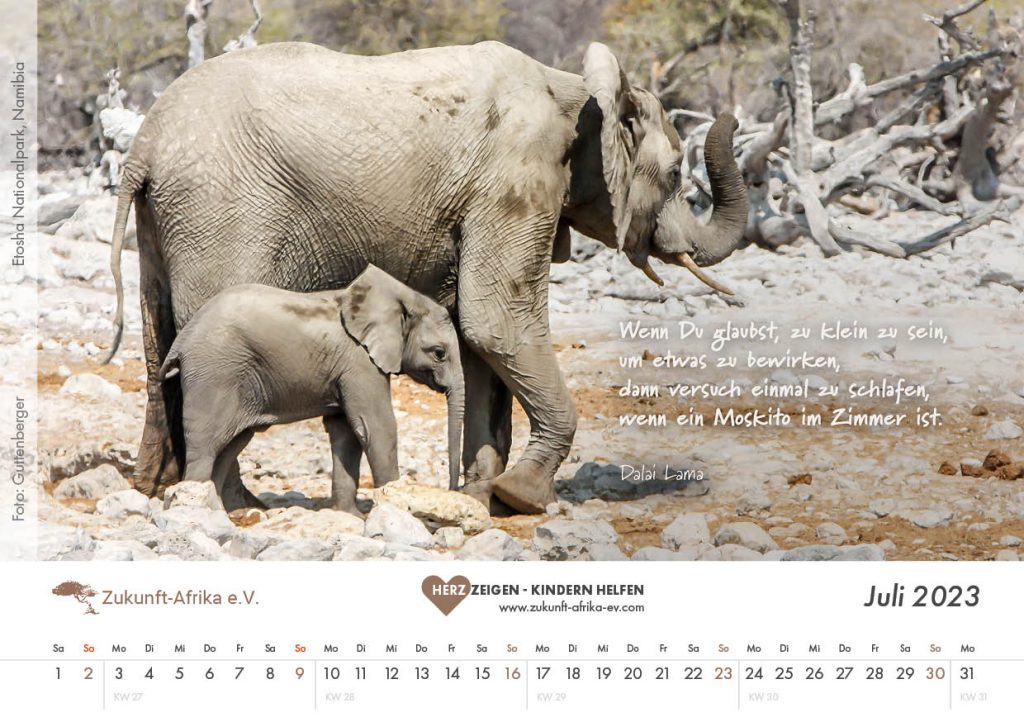 zukunft-afrika-ev-bezaubernde-tierfamilien-kalender-2023-0008-juli