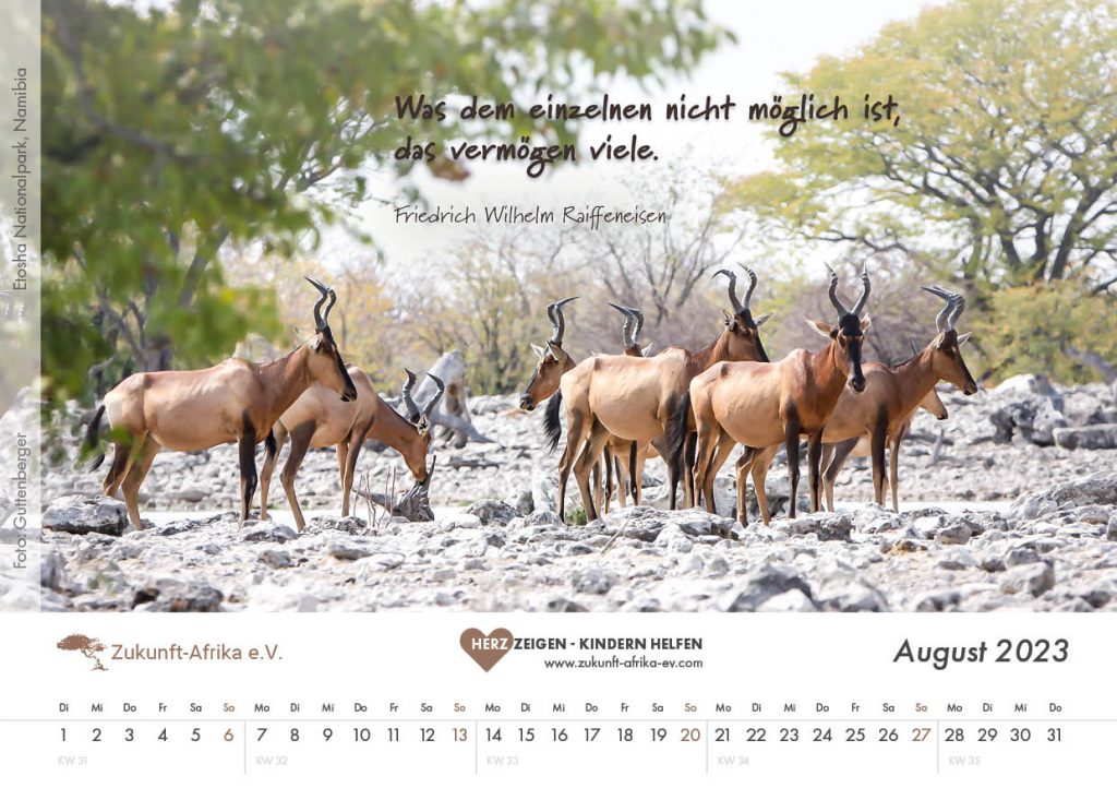 zukunft-afrika-ev-bezaubernde-tierfamilien-kalender-2023-0009-august